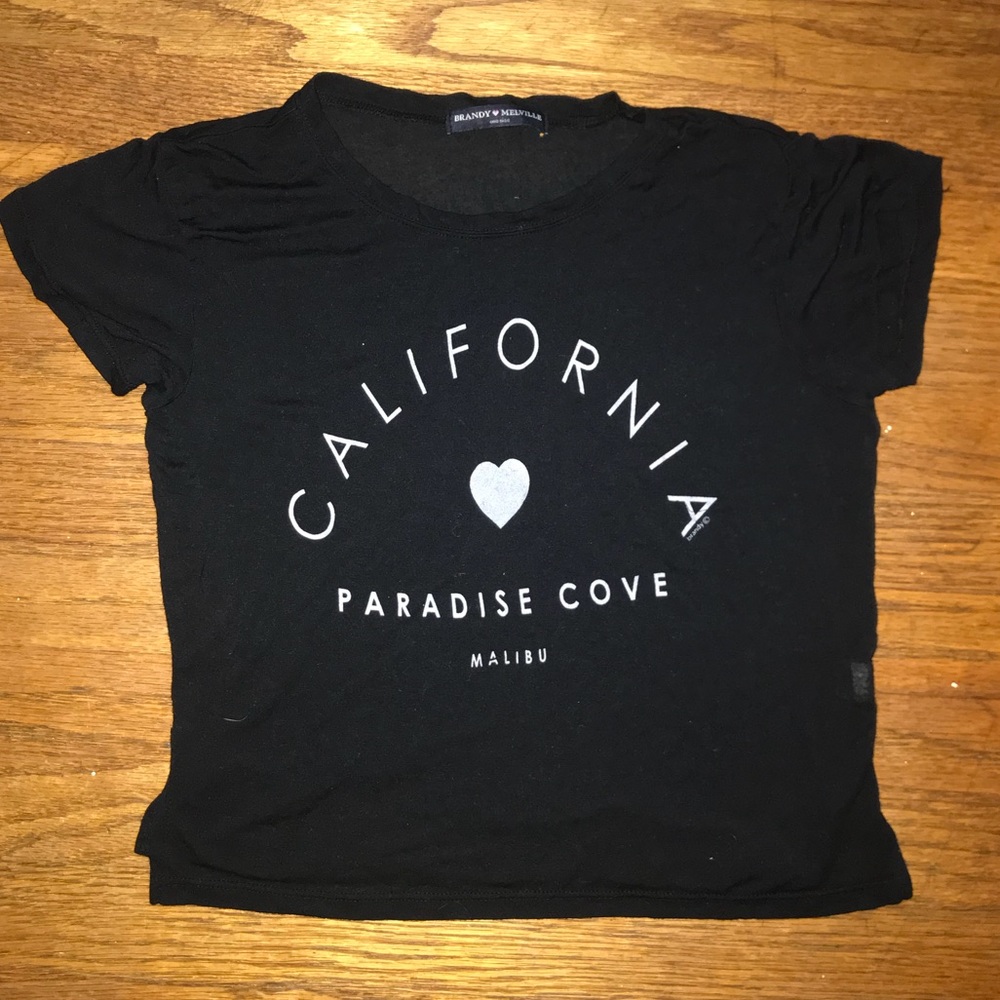 Brandy Melville Malibu crop top!